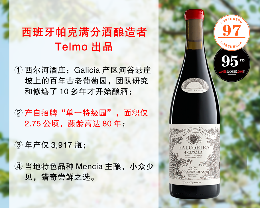 【现货特促，配额有限】【LB97分+JS95分】Telmo出品，必属精品：西尔河酒庄圣堂单一园旗舰干红（2021年）