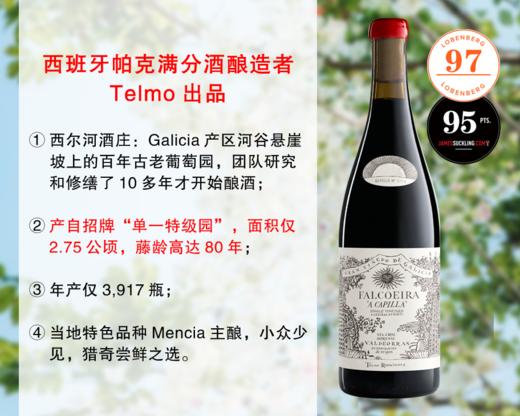 【现货特促，配额有限】【LB97分+JS95分】Telmo出品，必属精品：西尔河酒庄圣堂单一园旗舰干红（2021年） 商品图0