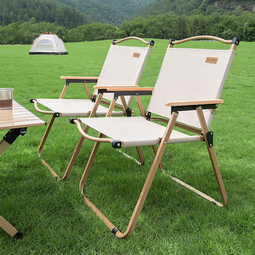 大迈轻便折叠靠背椅DM-2005 露营靠背椅 商品图1
