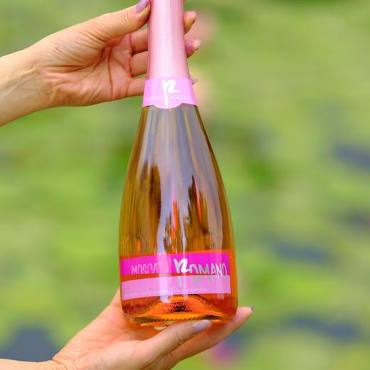 意大利大罗马甜桃红起泡酒 商品图1