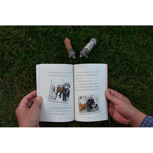 【独秀书香卡】魔法象·故事森林·法语大奖书屋（第一辑）外婆的百万秘密  6-12岁 儿童故事 图画故事 桥梁书 商品图7