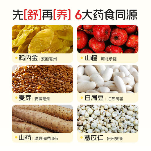 27年1月 诺特兰德 山楂鸡内金锌多维直饮包 商品图3