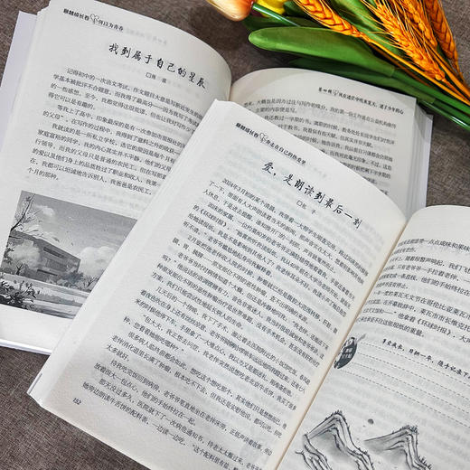 意林：成长卷， 全2册 青少年暖心励志成长必备读本 商品图9