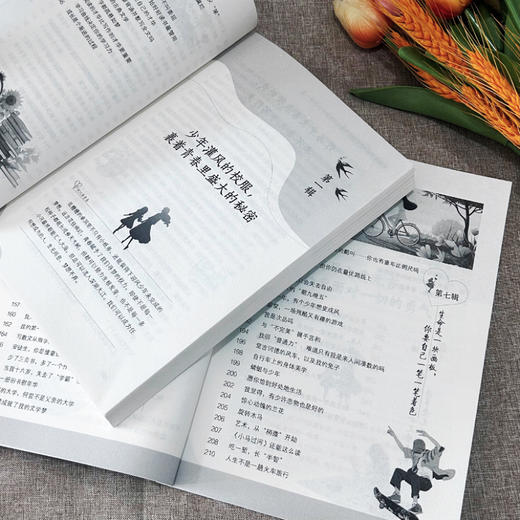 意林：成长卷， 全2册 青少年暖心励志成长必备读本 商品图6
