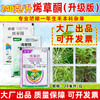 华星皇榜烯草酮老牌子油菜大豆禾本牛筋草杂草专用正品除草剂农用 商品缩略图1