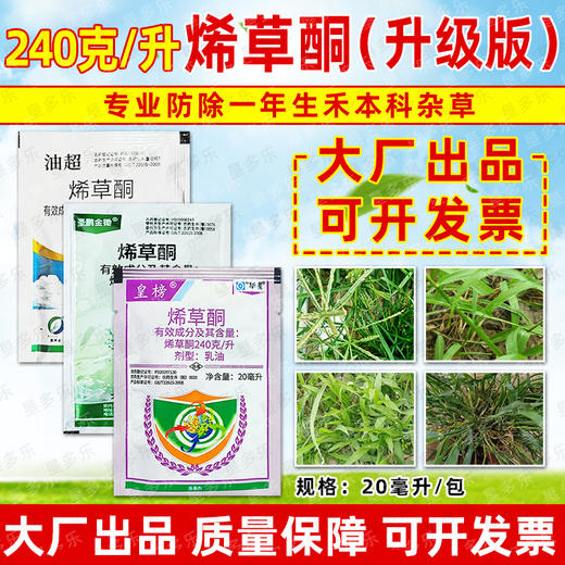华星皇榜烯草酮老牌子油菜大豆禾本牛筋草杂草专用正品除草剂农用 商品图1