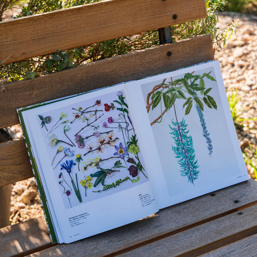 草木有灵：邱园雪莉·舍伍德画廊的当代植物艺术 英国皇家植物园邱园 官方出品  260余幅作品每一幅都是技法、色彩与生命力的巅峰呈现 画册 商品图5