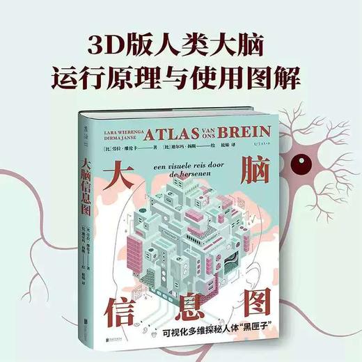 《大脑信息图：可视化多维探秘人体“黑匣子”》 商品图2