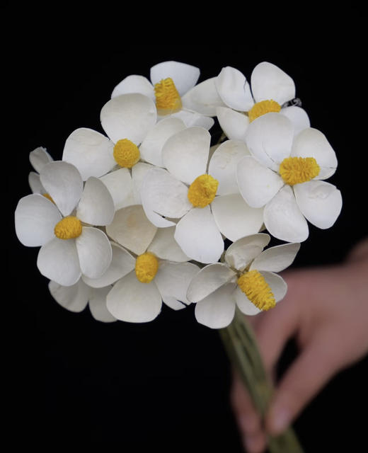 【永生花】网红干花紫罗兰  约10枝/扎 多色可选 商品图1