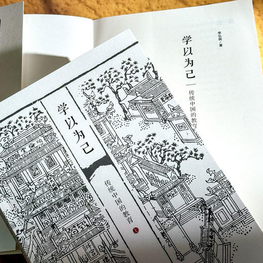 学以为己：传统中国的教育史 薄荷实验 套装上下册 附赠精装笔记本 中国教育研究 商品图9