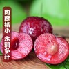 烟台美早大樱桃3J特大果/5J果王 商品缩略图10