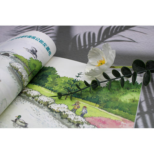 【独秀书香卡】魔法象·故事森林  我们身边的水生生物 7-12岁 儿童故事 儿童文学 商品图5