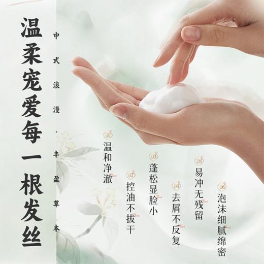 【居家必备洗护套装】自然而然24味草本洗发水护发素/沐浴美肌 洗头原浆清洁护理 赠送中样+小样 多规格入 500ml/瓶 商品图2