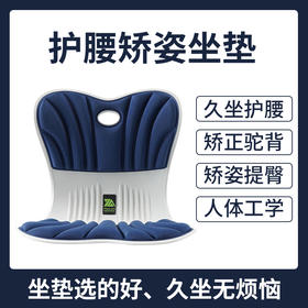 思菲其 标准款护腰坐垫 挺拔腰背 告别不良坐姿