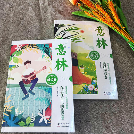 意林：成长卷， 全2册 青少年暖心励志成长必备读本 商品图3