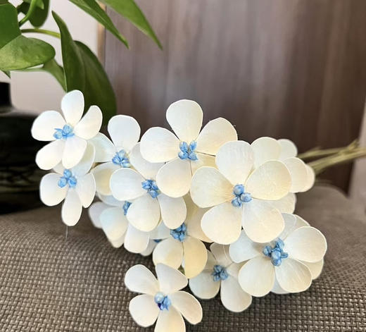 【永生花】网红干花紫罗兰  约10枝/扎 多色可选 商品图6