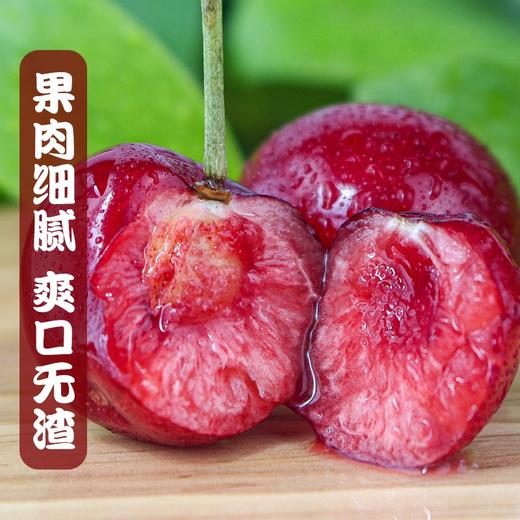 烟台美早大樱桃3J特大果/5J果王 商品图5