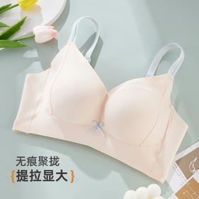 雅黛俪内衣女无痕提拉聚拢小胸收副乳防下垂2025新款文胸罩夏季薄