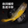 MM 山姆 深海大黄鱼4条装（单条净鱼重量≥250g） 商品缩略图1