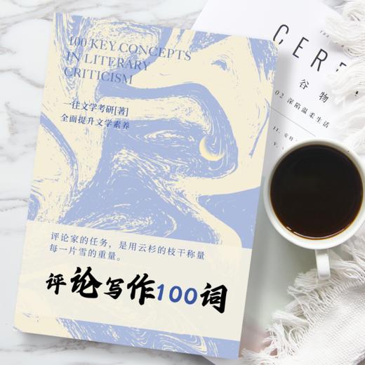 27一往文学评论写作100词纸质版，超强写作外挂，提升文学素养 商品图1