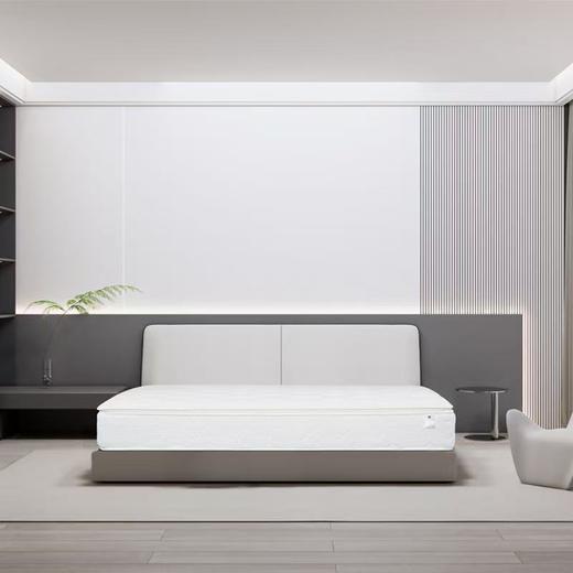 【佘山艾美】金可儿/洲际酒店款床垫（定制品） 商品图0