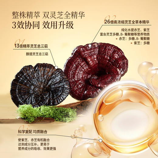 【甄选】 双灵芝精华]闽芝源 双灵芝原浆30ml*7袋/盒 武夷山脉道地灵芝 孢子粉升级款 含量双高 好吸收 商品图1