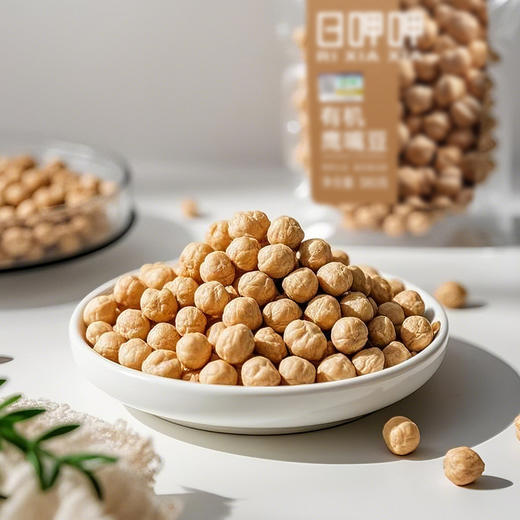 全食物日记 有机鹰嘴豆380g 商品图1