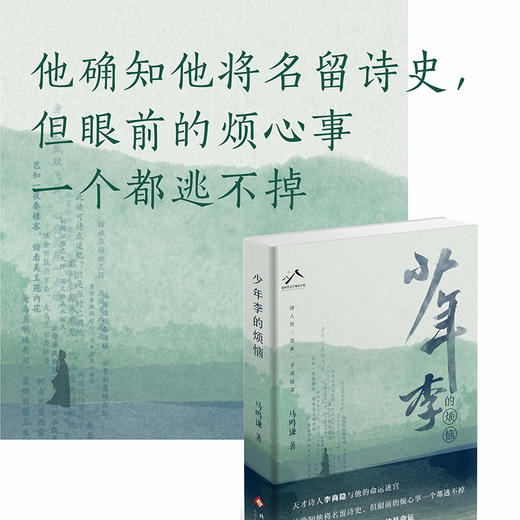 少年李的烦恼 商品图2