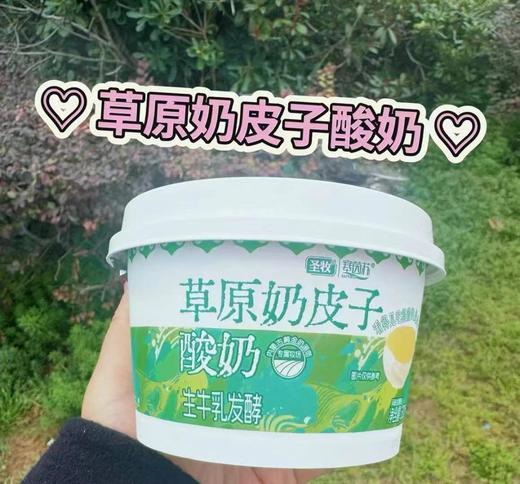 周四取货：【圣牧草原奶皮子酸奶】一杯300克，浓郁丝滑！保质期到2026.2.28特价不接受退单 商品图1