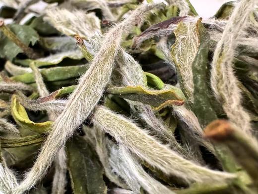 2025春 极枞·白小生 甜入骨  福鼎大白  俗称小白  一级牡丹  500克起 商品图2