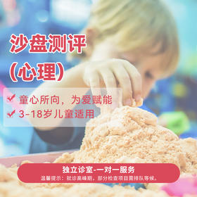 沙盘测评（心理）/1对1