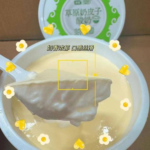 周四取货：【圣牧草原奶皮子酸奶】一杯300克，浓郁丝滑！保质期到2026.2.28特价不接受退单 商品图2