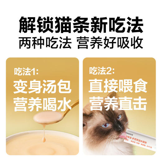 网易严选 溶水猫条 网易天成 猫零食10g*6条/袋 商品图1