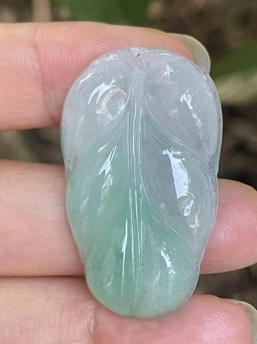 【冰绿翡翠】编号：1319 冰绿翡翠叶子 金枝玉叶 天然翡翠 附证书 商品图0