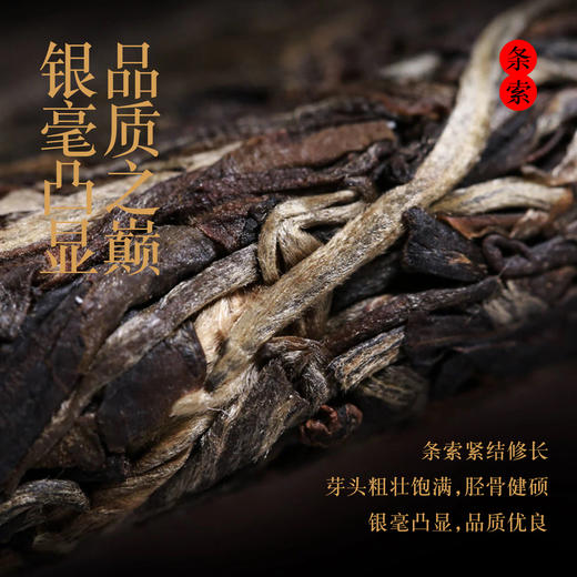 2025年马鹿洞古树普洱生茶357g 商品图2