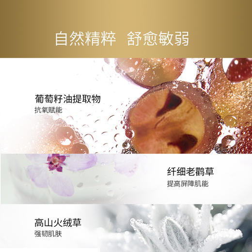 玛嘉思缇 时光密藏 新赋活洁面膏 120g 商品图3