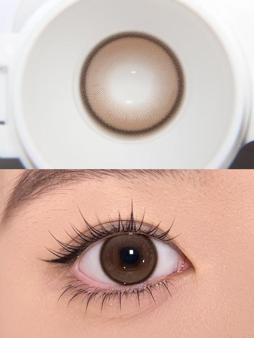 Curly Puppy半年抛美瞳 淡水珍珠 14.5mm 商品图0