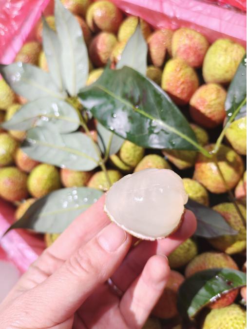 妃子笑荔枝一斤 商品图1