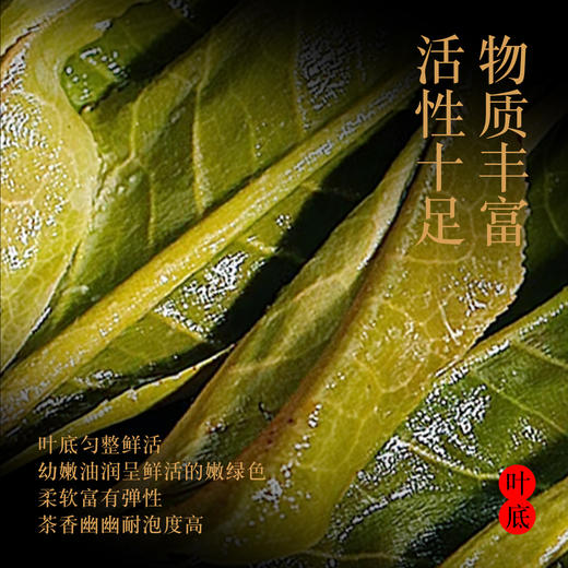 2025年马鹿洞古树普洱生茶357g 商品图4