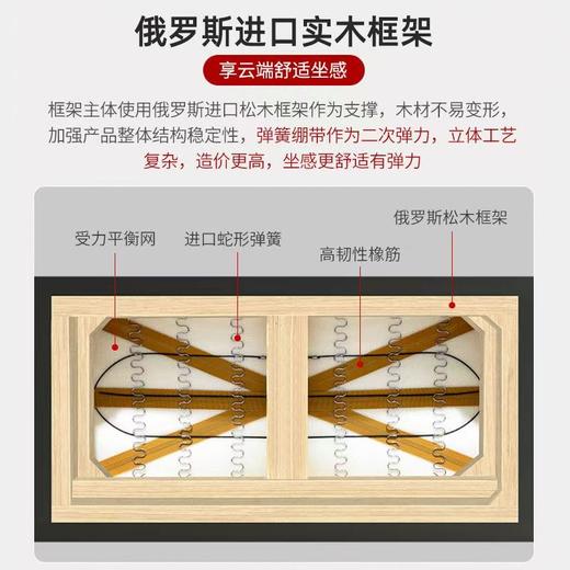 直排沙发_现代简约网红轻奢【K】 商品图3