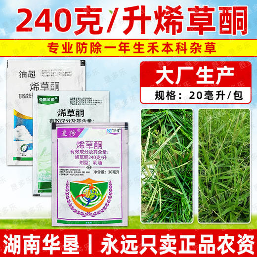 华星皇榜烯草酮老牌子油菜大豆禾本牛筋草杂草专用正品除草剂农用 商品图4