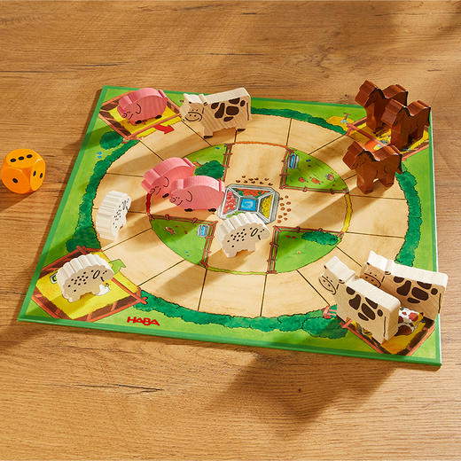 HABA 开心农场 十合一 桌游 适合3岁+ 多种玩法，锻炼各项能力 德国品牌-1004278001 商品图4