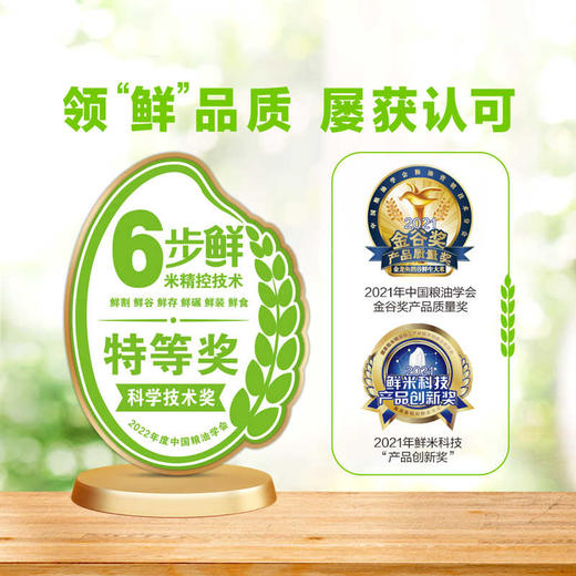 金龙鱼稻谷鲜生6步鲜鲜牙香丝苗米/5kg 商品图2