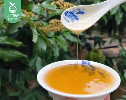 漳州原生态高山荔枝蜜/1罐（1kg） 商品图2