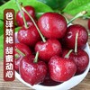 烟台美早大樱桃3J特大果/5J果王 商品缩略图1