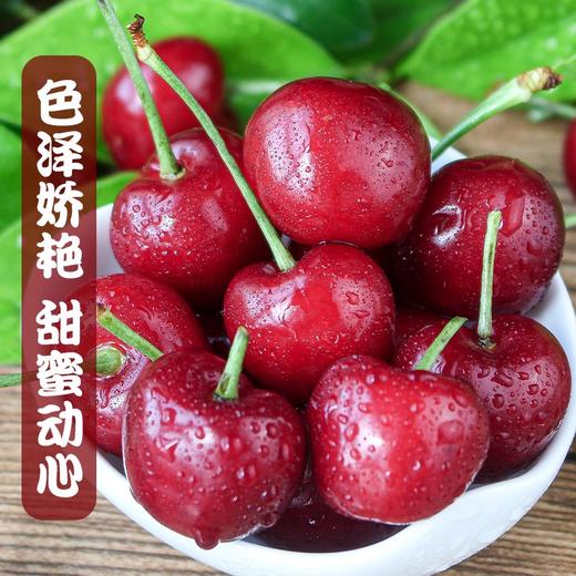 烟台美早大樱桃3J特大果/5J果王 商品图1