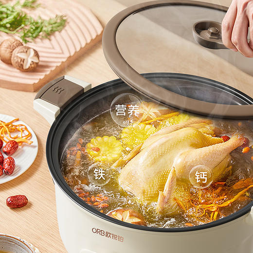 欧锐铂帕斯卡-电微压锅ORB-1573 商品图1