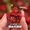 烟台美早大樱桃3J特大果/5J果王 商品缩略图9