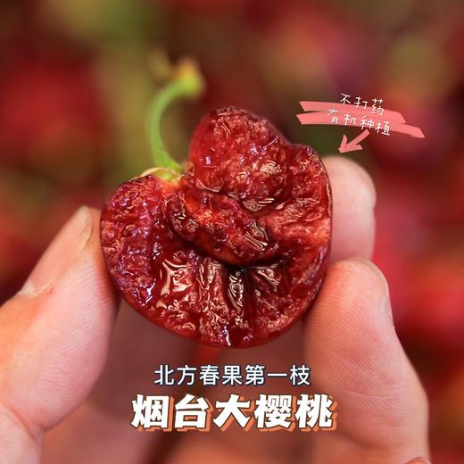 烟台美早大樱桃3J特大果/5J果王 商品图9