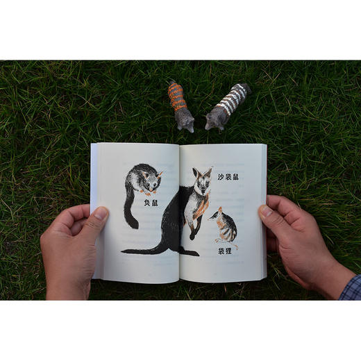 【独秀书香卡】魔法象·故事森林·法语大奖书屋（第一辑）外婆的百万秘密  6-12岁 儿童故事 图画故事 桥梁书 商品图5